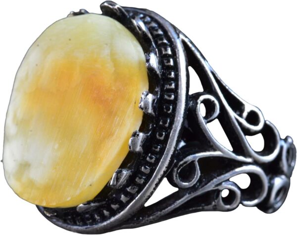 6194kE-t1LL._AC_SL1500_