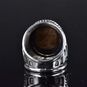 Erkekler için Turkuaz Taş Yüzük, 925 Ayar Gümüş El Yapımı Ejderha Ölçeği Tasarımı, Modern Stil Şifa Kristali Takı (Stil-3) - Görsel 8