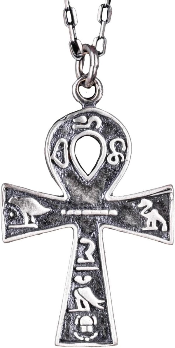 61WKnsxihFL._AC_SL1500_