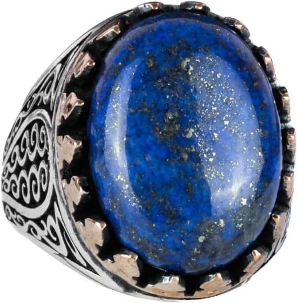 61YhruLFczL._AC_SL1331_