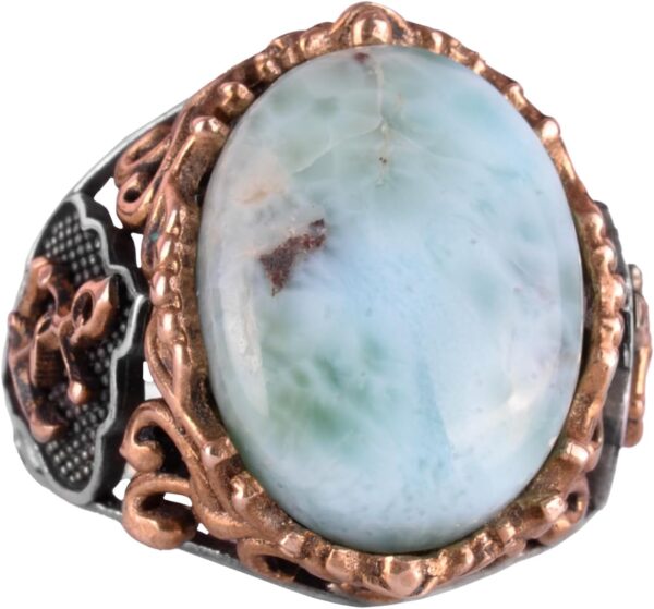 61iwskFfxZL._AC_SL1500_