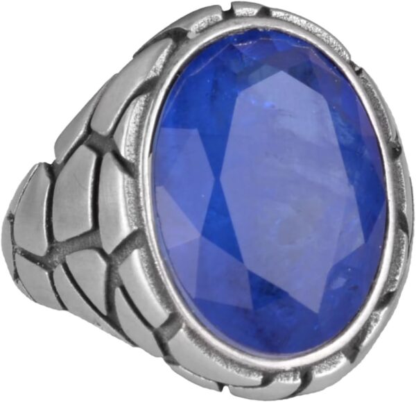 61jXnsKqQVL._AC_SL1342_