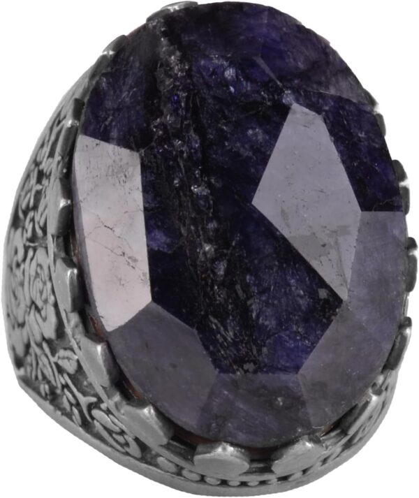 61oTrt1NeoL._AC_SL1500_