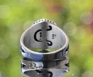 Kurt Başı Yüzüğü, Gümüş Kurt Yüzüğü, 925 Ayar Gümüş Erkek Yüzüğü - Görsel 8