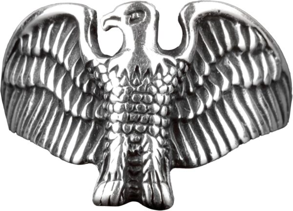 713EfBtPSML._AC_SL1500_