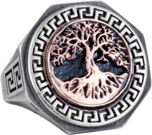 925 Ayar Gümüş Yüzük - Yunan Anahtarı Tasarımı Erkek Yüzüğü - El Yapımı Yüzük (Hayat Ağacı) - Görsel 1