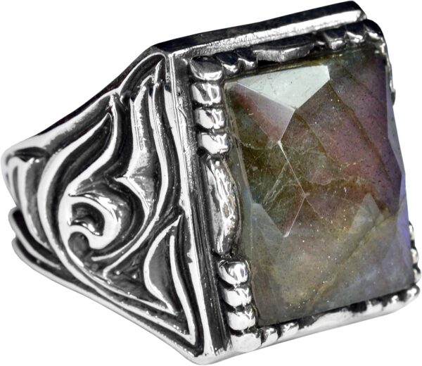 71B6Km9lRyL._AC_SL1500_