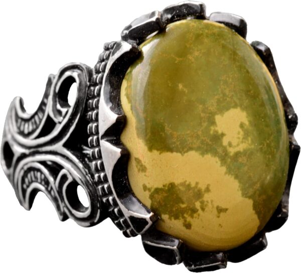 71SUdl7iPeL._AC_SL1500_