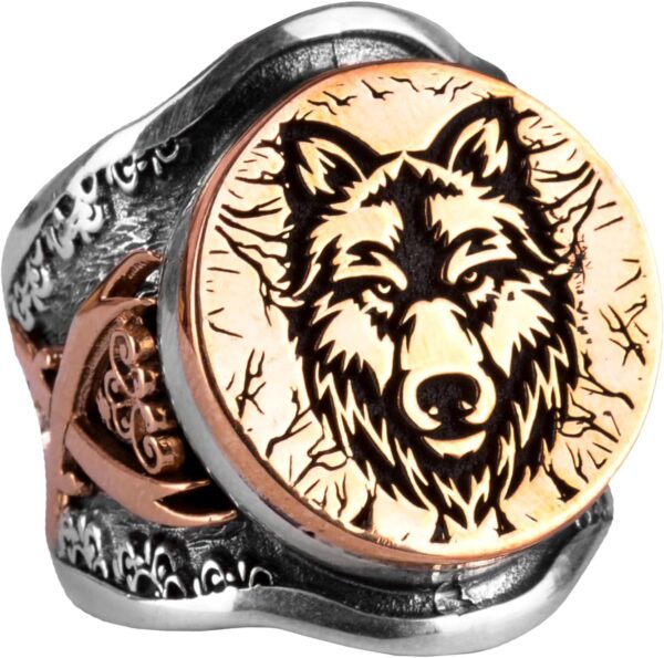 71camFcEDDL._AC_SL1500_