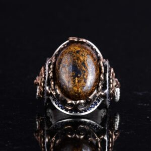 Aslan Yüzük, Doğal Bronzit Taş Yüzük - Cesur 925K Katı Gümüş Erkek Yüzük - Topraklama Gücü Tasarımı - Görsel 4