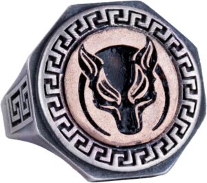 925 Ayar Gümüş Yüzük - Yunan Anahtarı Tasarımı Erkek Yüzüğü - El Yapımı Yüzük (Kurt) - Görsel 1