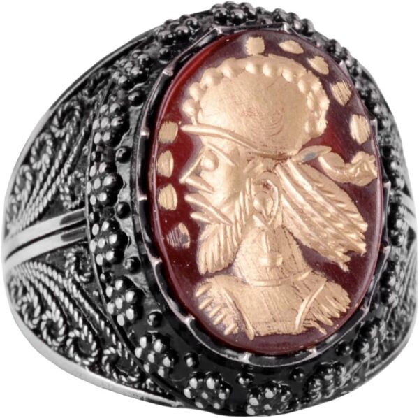 71tSFEHWZhL._AC_SL1478_