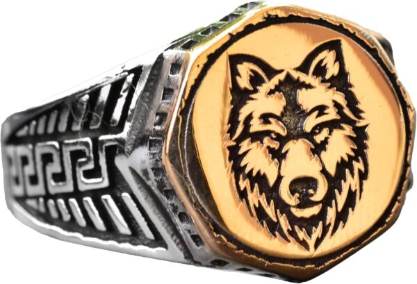 71uvcez2AgL._AC_SL1500_