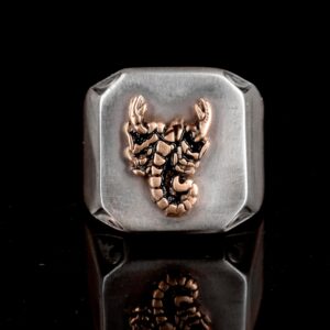 925K Gümüş Erkek Yüzük - İmza Yüzükleri - El Yapımı Yüzük (Akrep) - Görsel 2