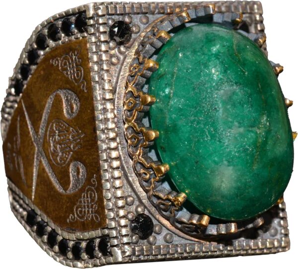 81JBsOesyeL._AC_SL1500_