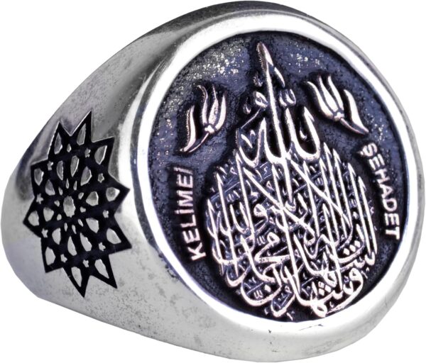 81MtPpAhWL._AC_SL1500_