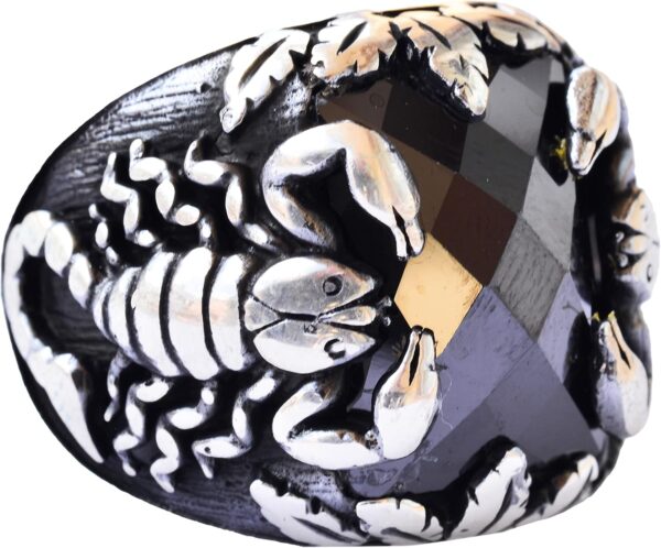 81Z8ZS4N1HS._AC_SL1500_