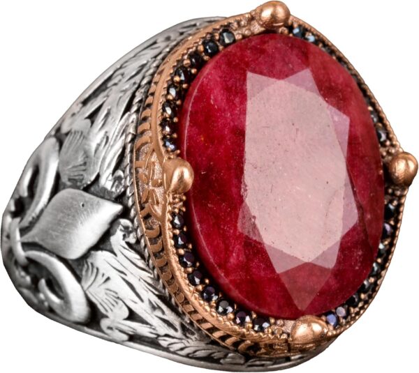 81o-w1RxbDL._AC_SL1500_