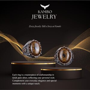 El Yapımı Gerçek Doğal Bronzit Taş Yüzük, 925 Ayar Katı Gümüş Erkek Yüzüğü - Görsel 7