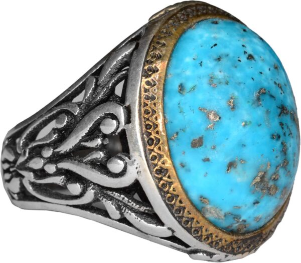 81uA2M2dXyL._AC_SL1500_