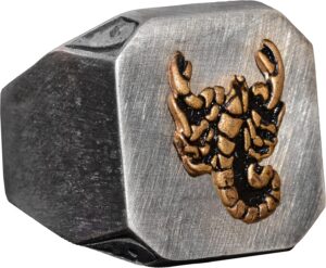 925K Gümüş Erkek Yüzük - İmza Yüzükleri - El Yapımı Yüzük (Akrep) - Görsel 1