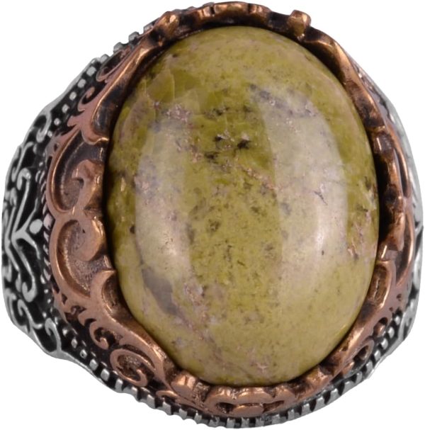 61JTSHZfczL._AC_SL1489_