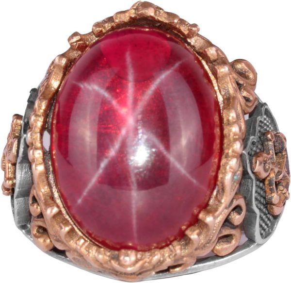 61LEpucwTnL._AC_SL1500_