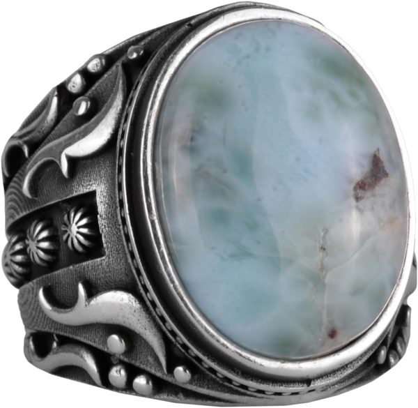 61VM68NBZnL._AC_SL1500_