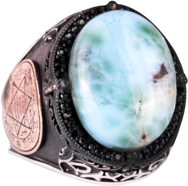 61xdtqcDQNL._AC_SL1500_