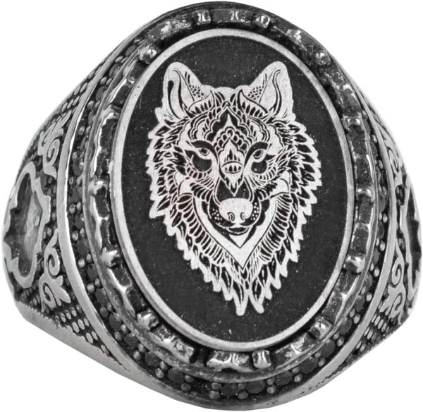 717awNwmWLL._AC_SL1494_