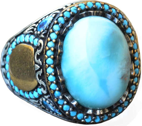 71dqXatQPoS._AC_SL1500_