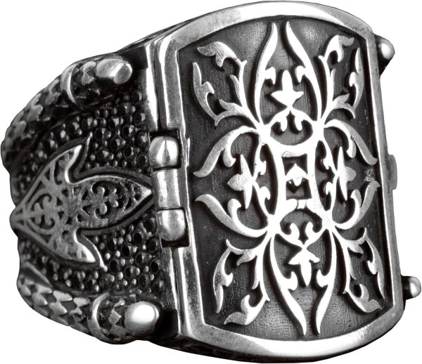 81OQu3rl5eL._AC_SL1500_