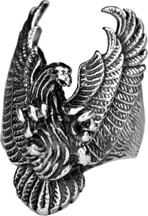 81PIaKfdJ2L._AC_SL1500_