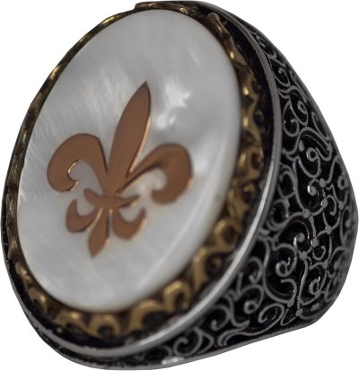 Regal ve Sembolik Erkek 925 Ayar Gümüş Yüzük - Zambak Sembolü ve Doğal Taşlarla Süslenmiş - Görsel 1