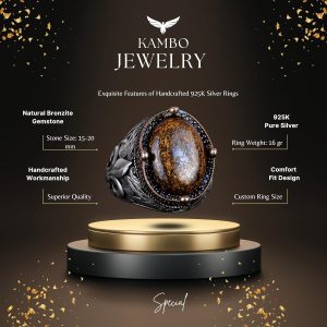 925K Gümüş İşçilikli Erkek Yüzük - Çeşitli Doğal Taşlarla Mevcut (Bronzit) - Görsel 7