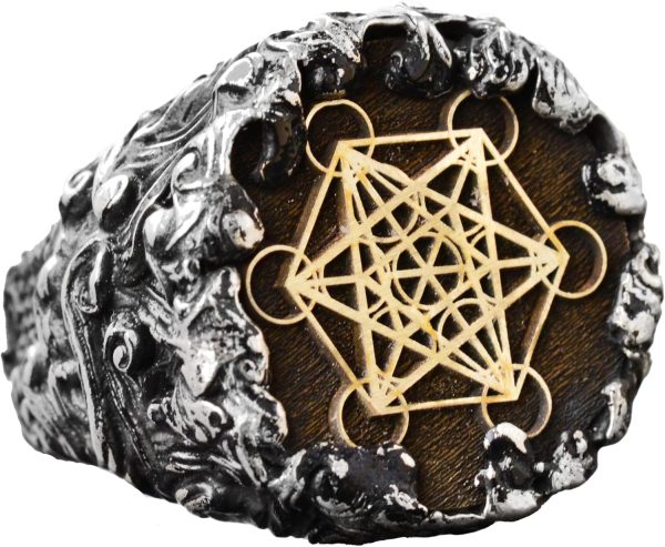 81dhigbIjeL._AC_SL1500_